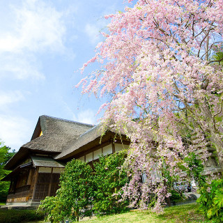 【春の祝宴 27年3月～4月】公式HP限定特典付きプラン ◆衣裳特典付き