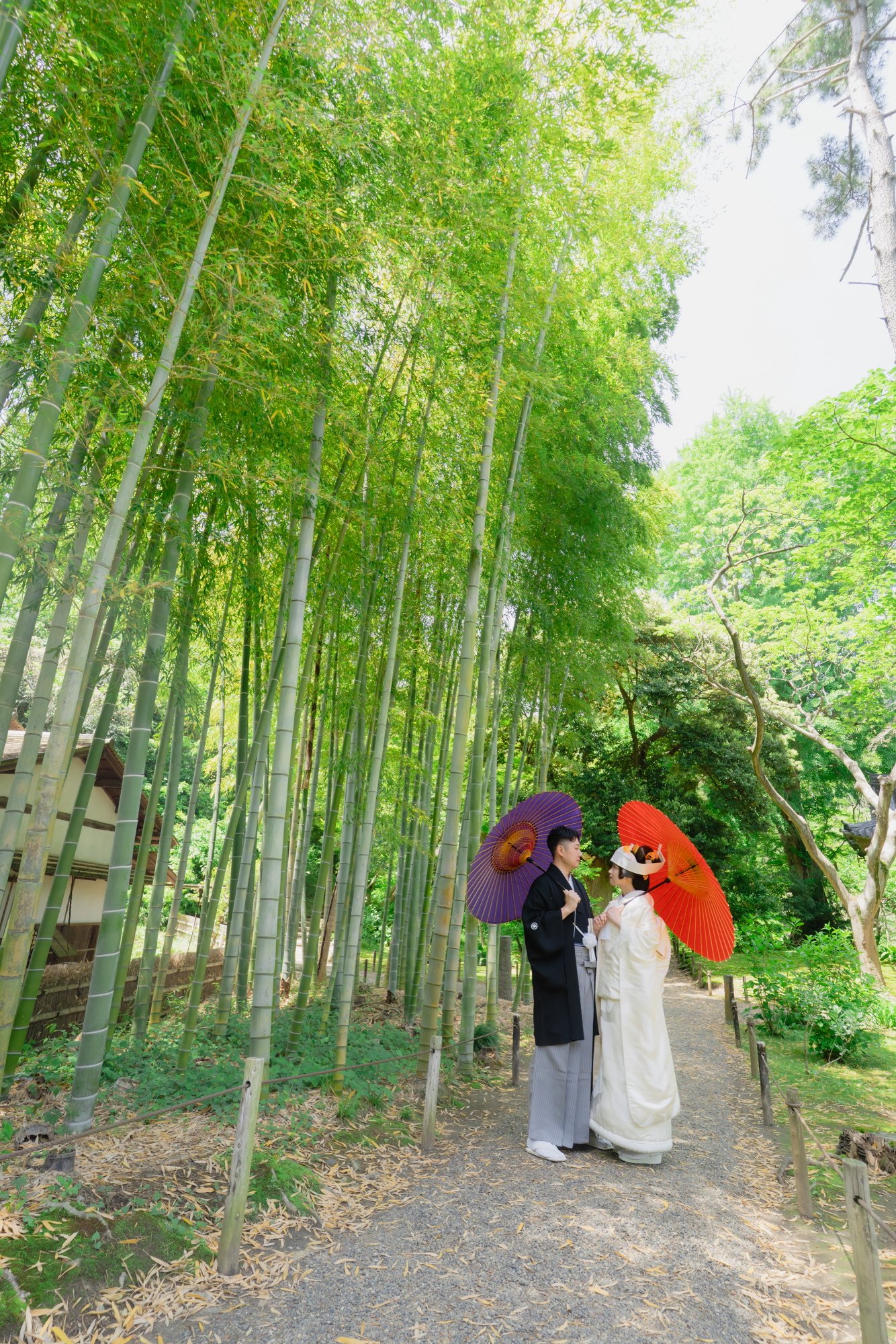 イメージ写真