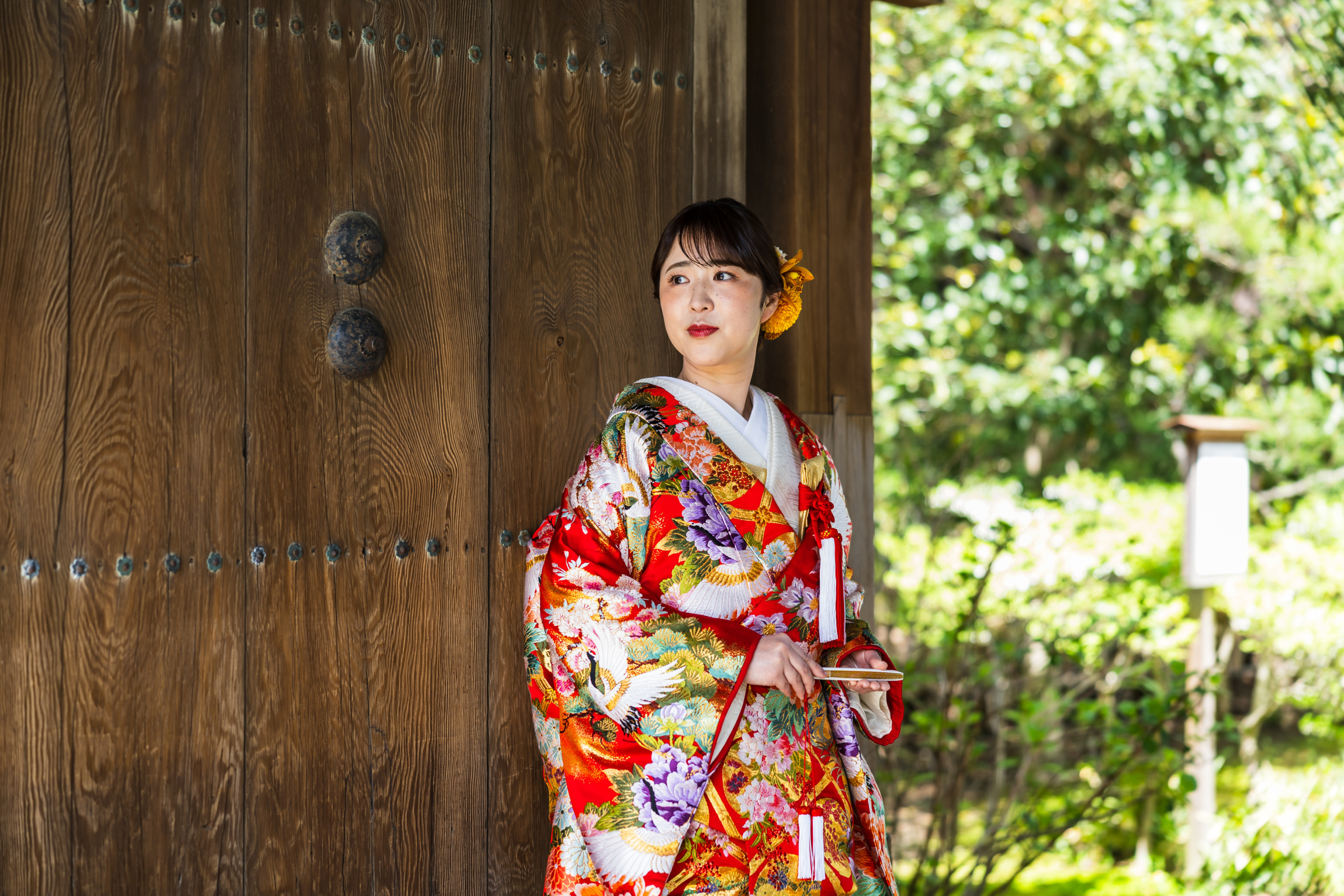 イメージ写真