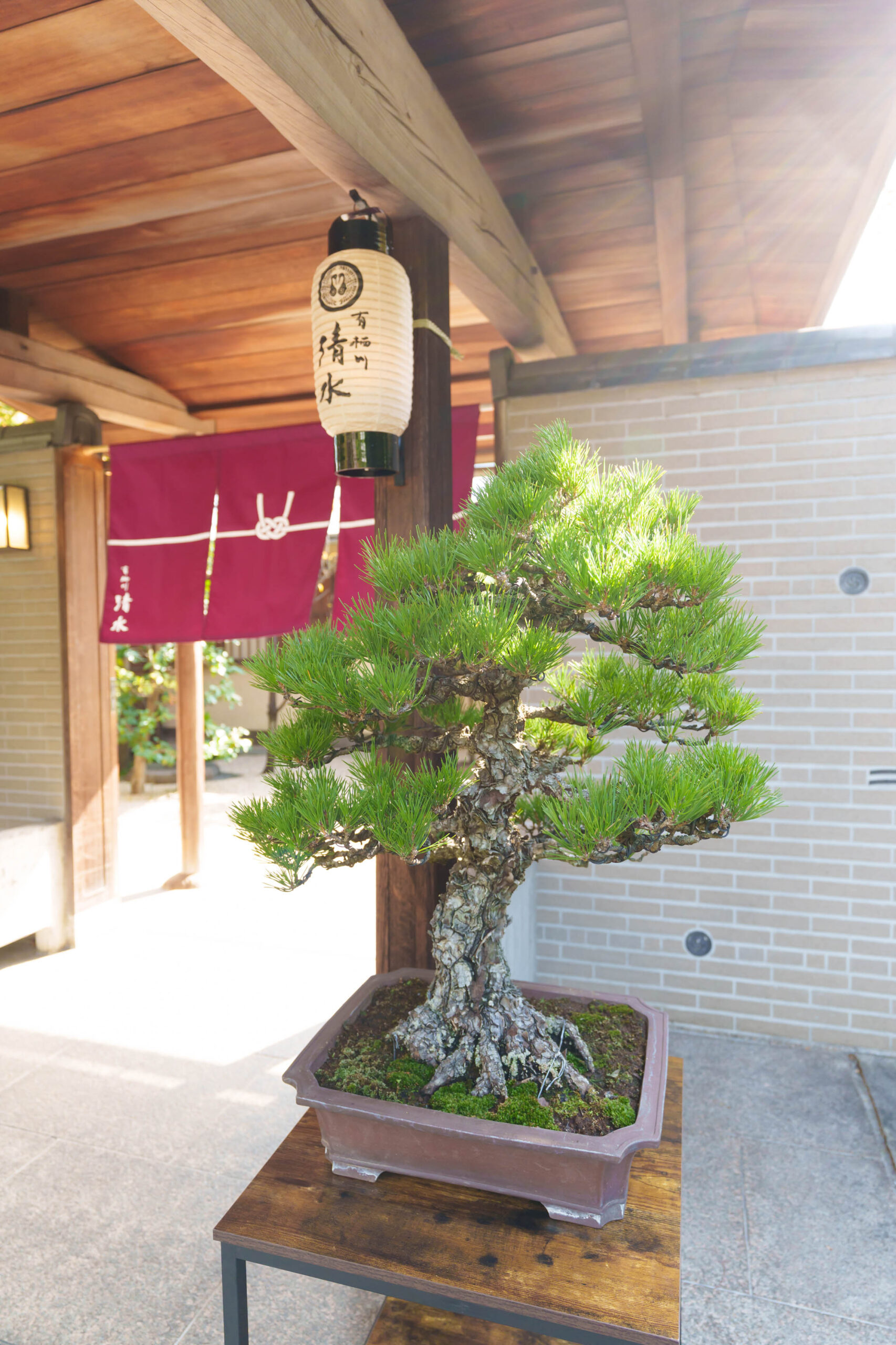 イメージ写真